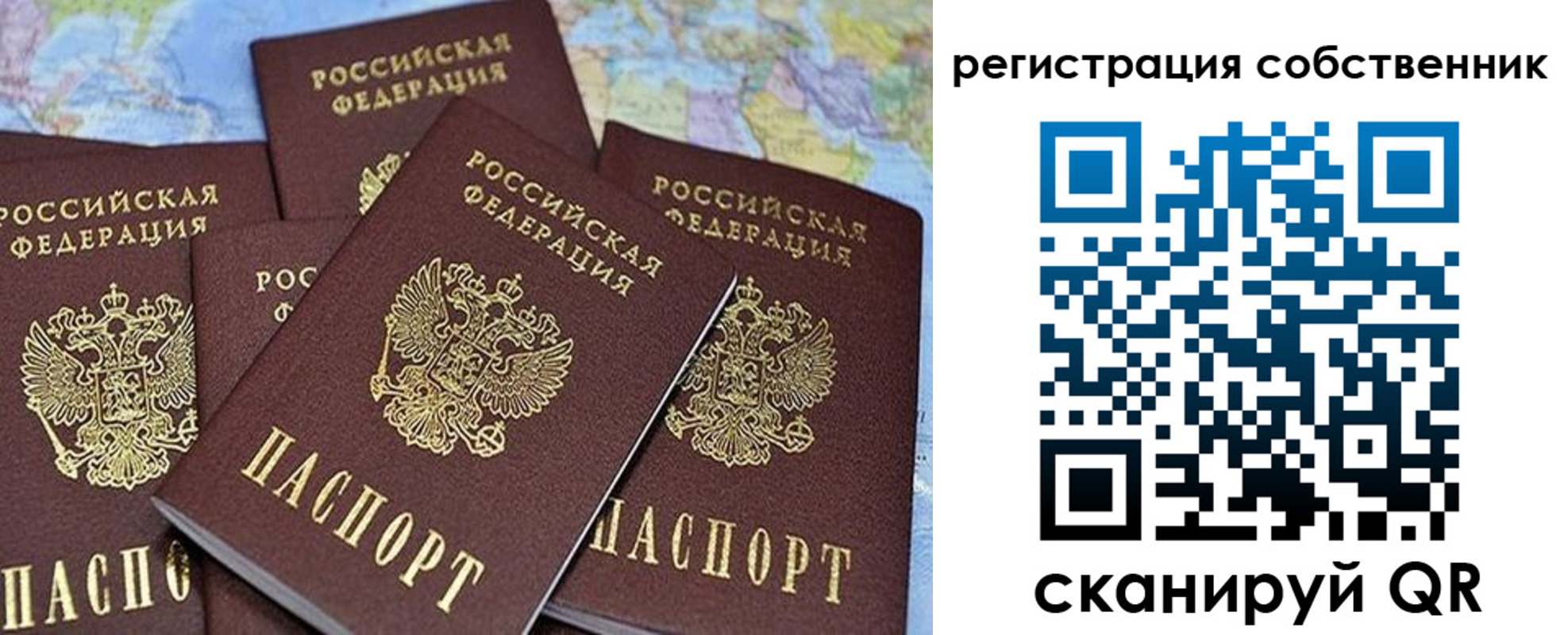 прописка для школы в Скопине